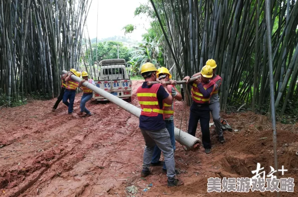 《守护者们》S级装备强化全攻略：网友热评的必备提升指南