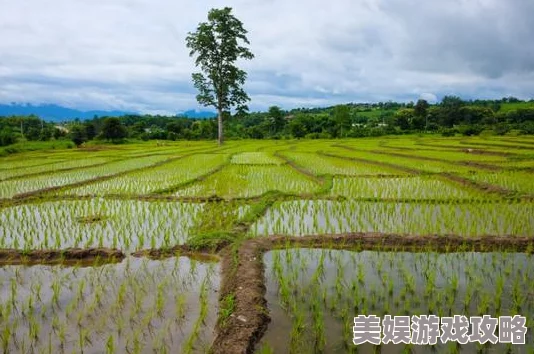 穿越新石器时代体验原始生存挑战建造部落开启文明之旅