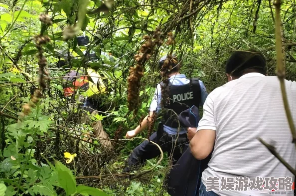 荒野植被全文免费阅读内容质量差错漏百出情节混乱