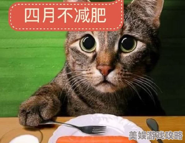 失控烟猫与酒据传曾因争夺限量版猫粮大打出手