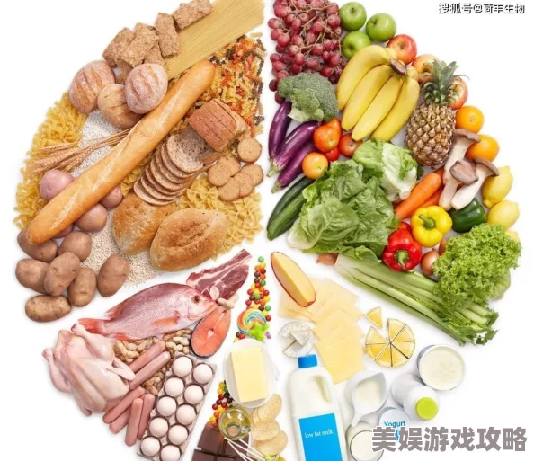 2025年热门策略：食物语4-6-2高效通关，先打西湖醋鱼食魂阵容搭配指南