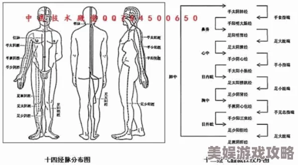 2025年经脉突破时真气不足的高效解决方法与科技辅助