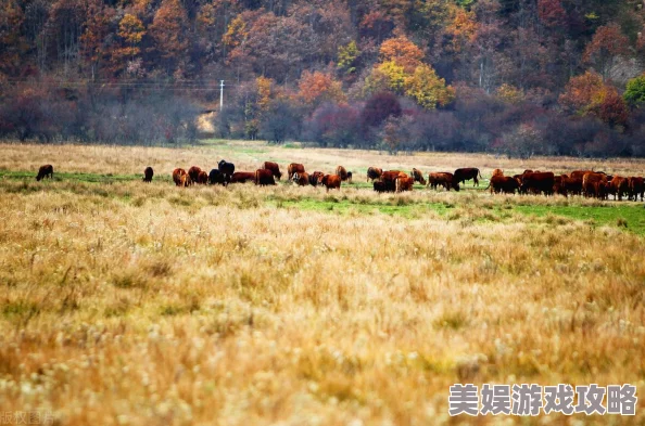 2025年时尚前沿：暖暖环游世界中国区域1，S级评分搭配攻略055，旅行者暖暖(21)新潮亮相